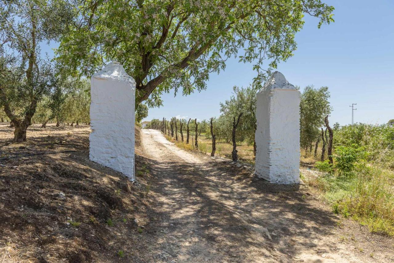Willa Hacienda San Antonio Marchena  Zewnętrze zdjęcie